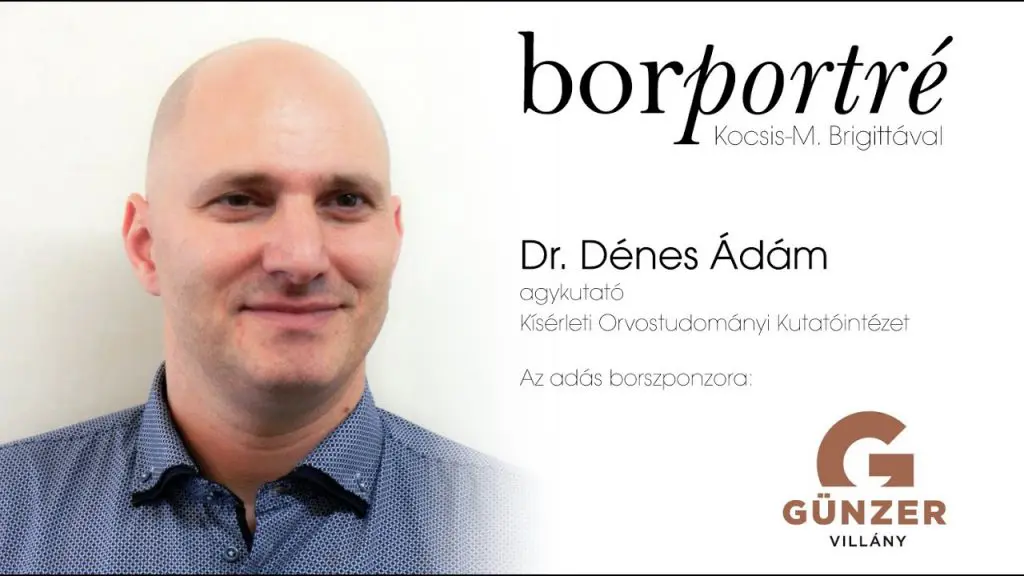 Dr. Dénes Ádám, agykutató, KOKI | BorPortré 2020-05-20