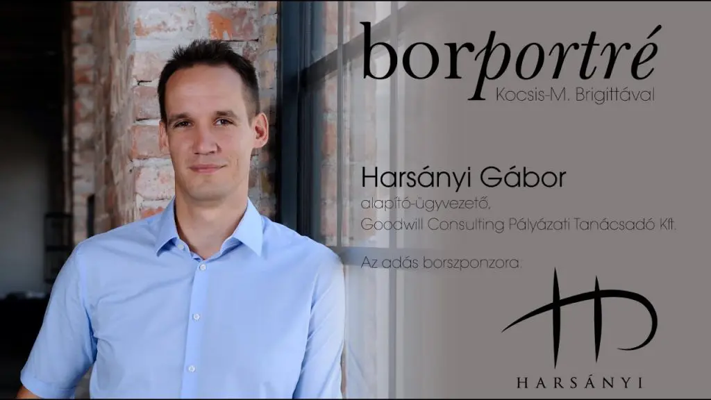 Harsányi Gábor, Goodwill Consulting | BorPortré 2020-05-15