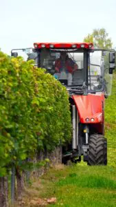 10_bor_minoseg_szuret