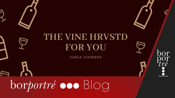 The_Vine_borito
