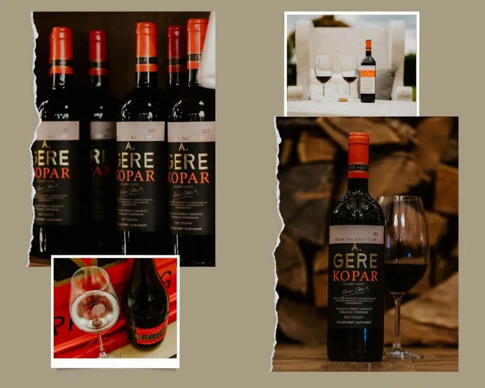 Csizmadia Kristóf interjú