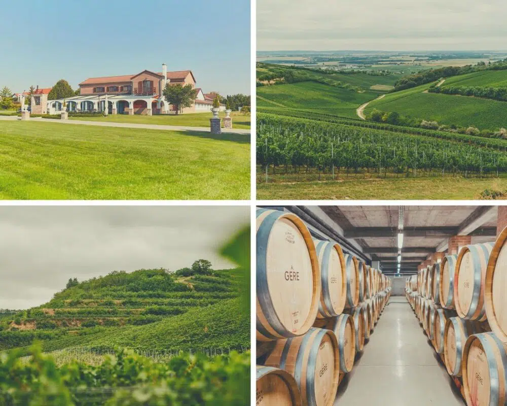 Csizmadia Kristóf interjú