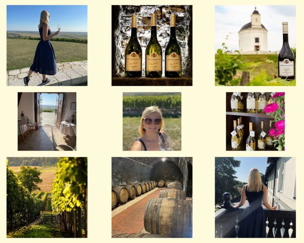 Gróf Degenfeld Szőlőbirtok