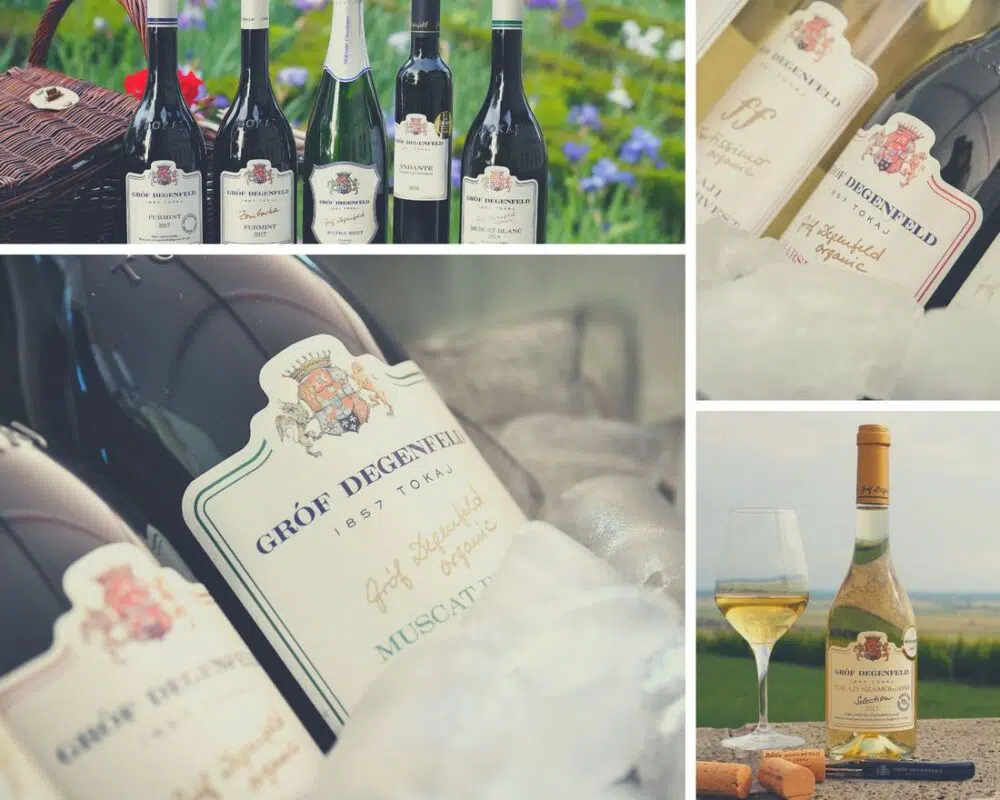 Gróf Degenfeld Szőlőbirtok