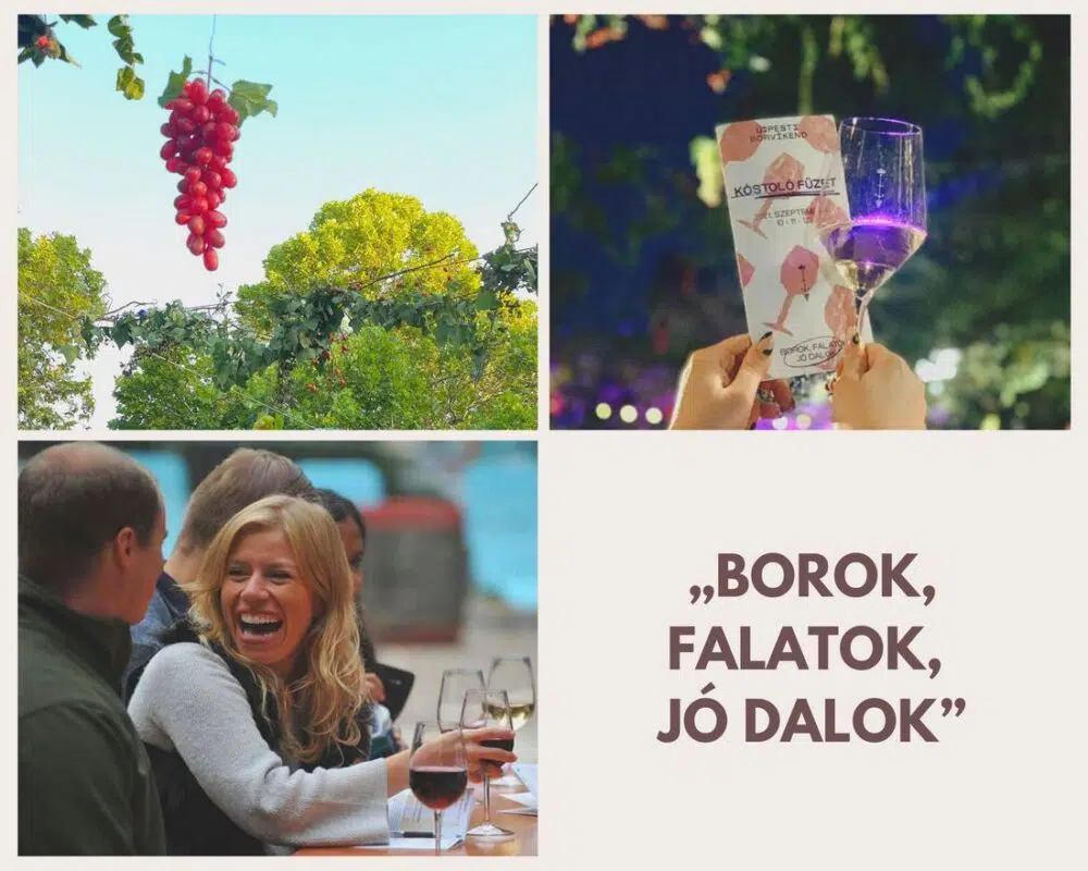Az Újpesti BorVíkendről jelentjük