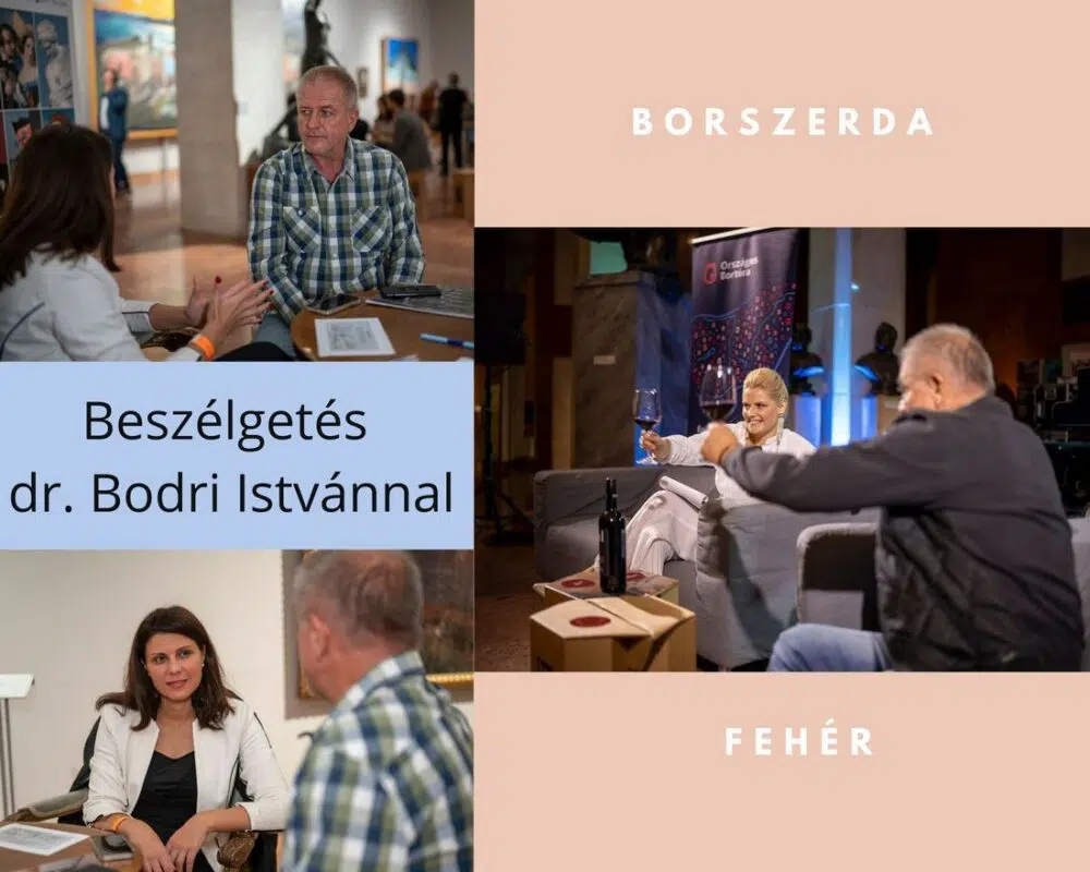 Bodri István: „Leginkább az kapcsol ki, amikor felmegyek a szőlőbe”