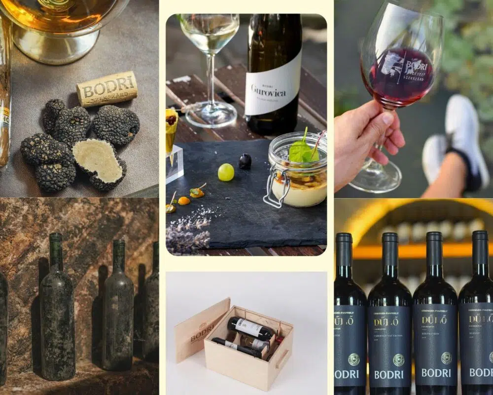 Bodri István: „Leginkább az kapcsol ki, amikor felmegyek a szőlőbe”