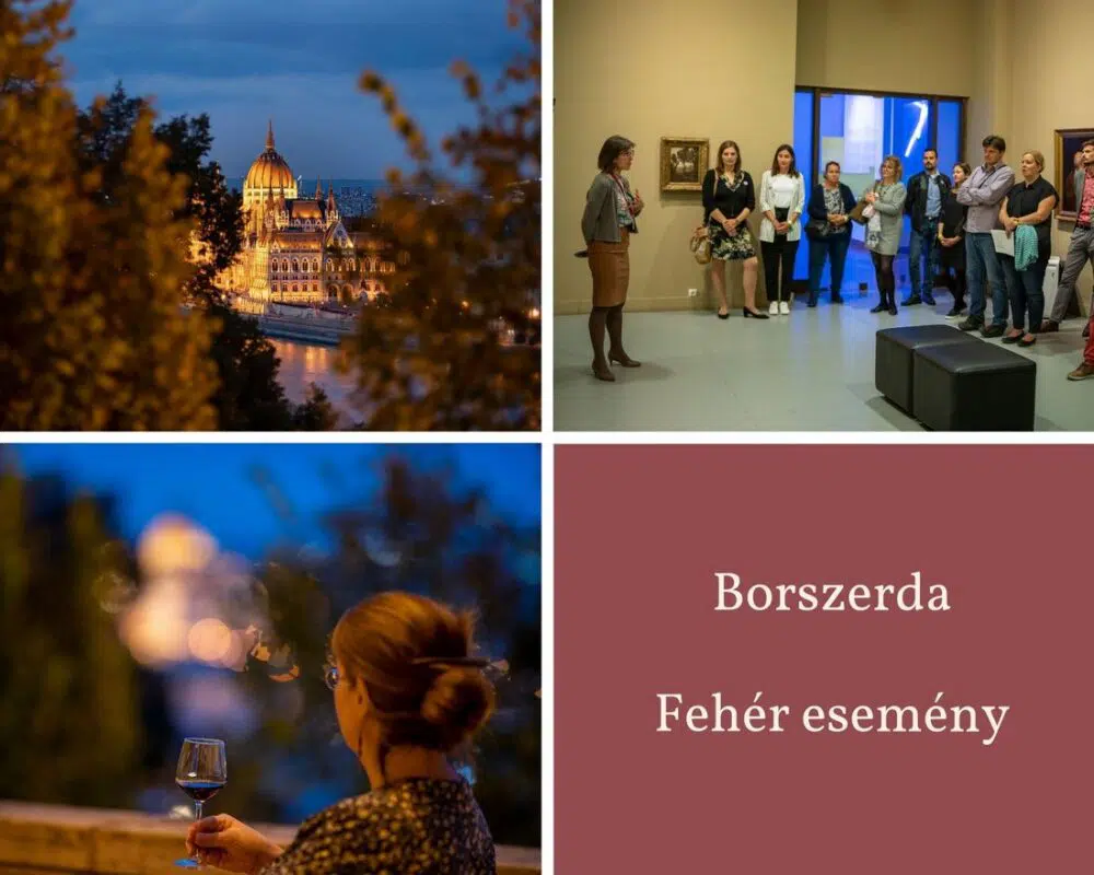 Élménybeszámoló a Borszerda fehér eseményről