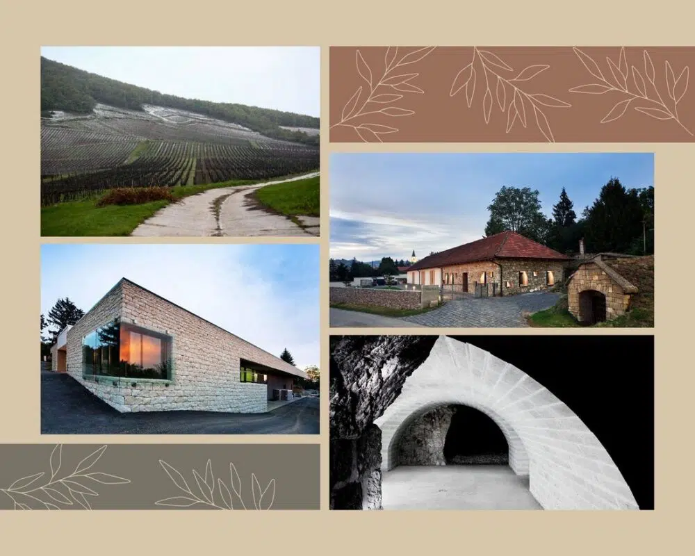 Interjú Jójárt Gergővel, a Holdvölgy Birtok igazgatójával