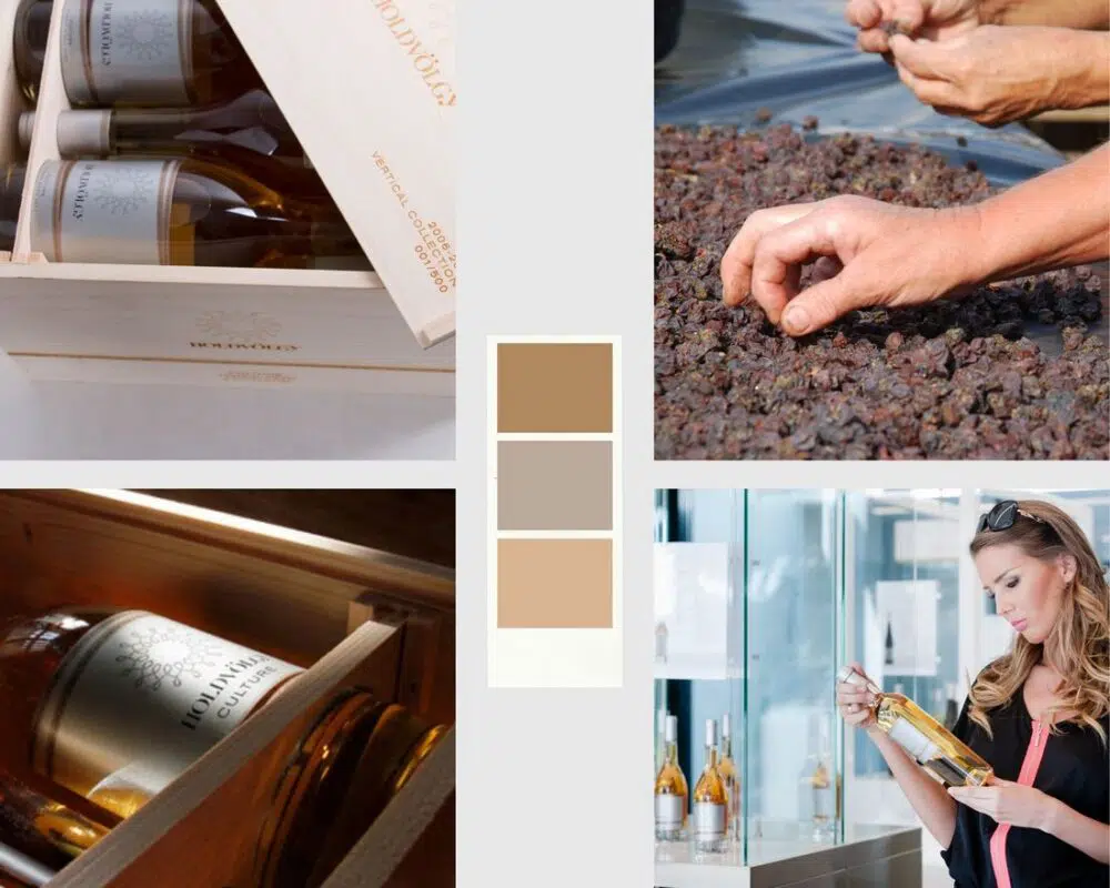 Interjú Jójárt Gergővel, a Holdvölgy Birtok igazgatójával