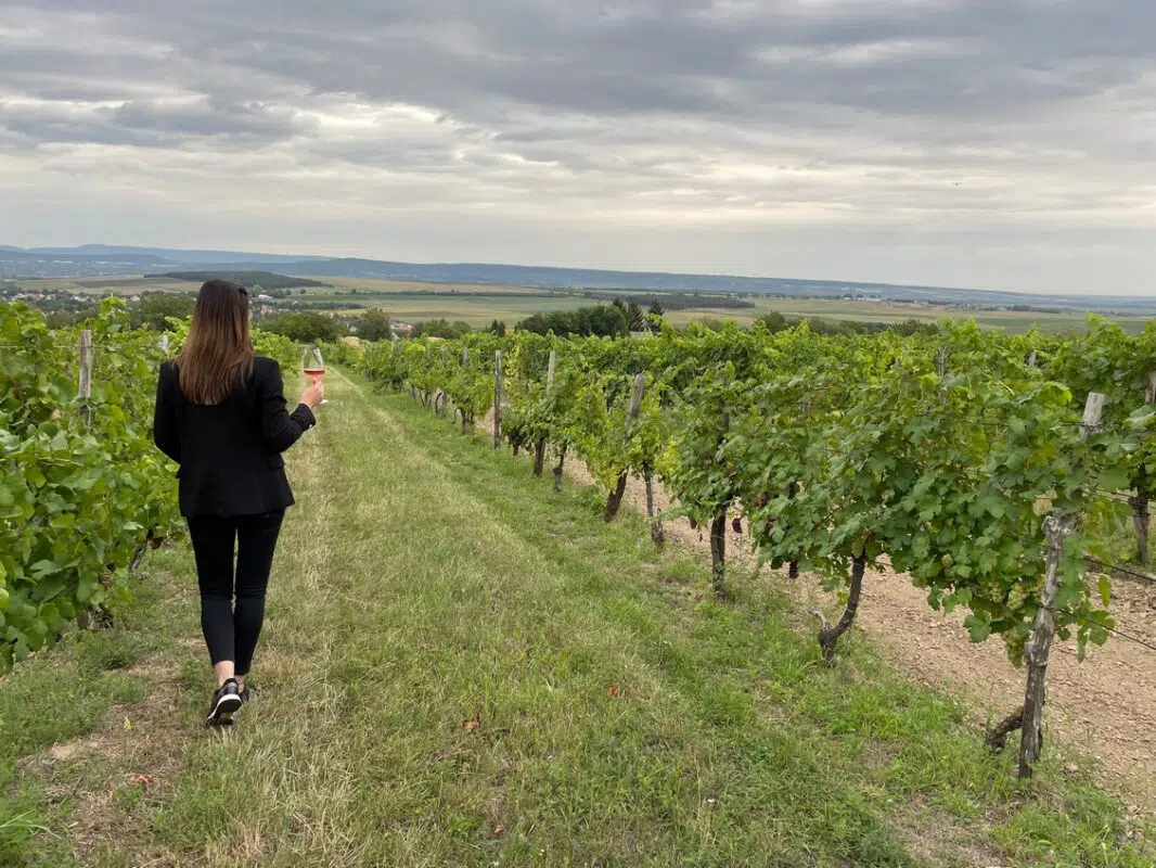 Országos Bortúra – élmények a palackból