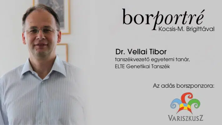 Dr. Vellai Tibor, tanszékvezető egyetemi tanár, ELTE TTK Genetikai Tanszék | BorPortré
